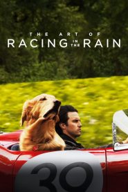 فيلم The Art of Racing in the Rain 2019 مترجم اون لاين