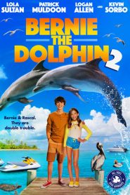 فيلم Bernie the Dolphin 2 2019 مترجم اون لاين