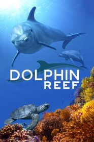مشاهدة فيلم Dolphin Reef 2020 مترجم