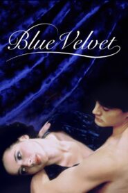 مشاهدة فيلم Blue Velvet 1986 HD مترجم اون لاين