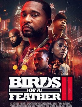فيلم Birds of a Feather 2 2018 مترجم اون لاين