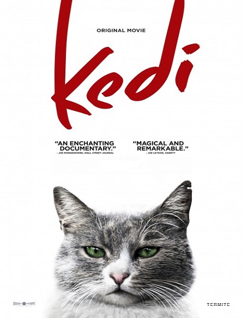 مشاهدة فيلم Kedi 2016 HD مترجم